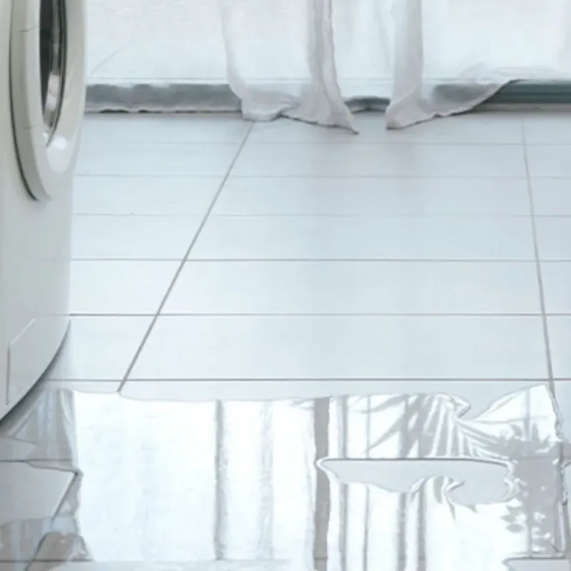 Appliance Leak Cleanup in Carroll, IA