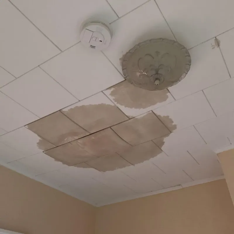 Ceiling Water Damage Repair in Carroll, IA
