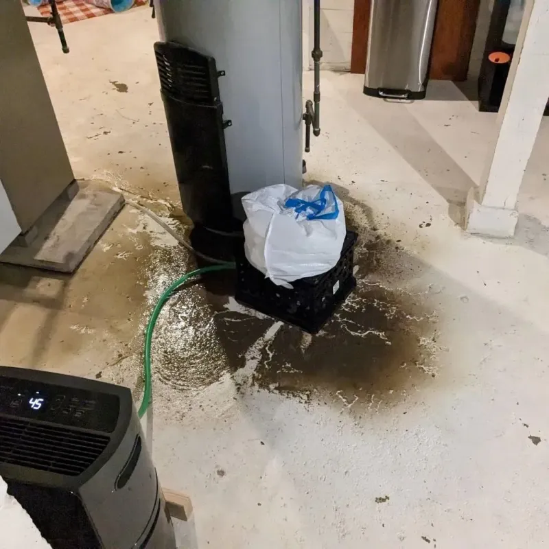Sewage Backup Cleanup Service in Carroll, IA